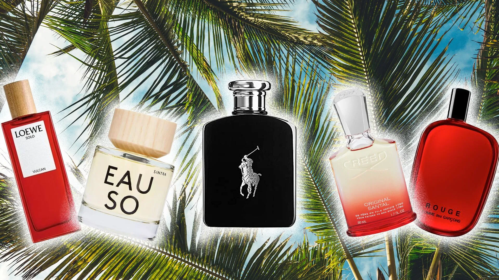 Top 10 Perfumes for Hot Weather by alsheikh